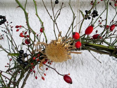 20141130Rosenkranz2