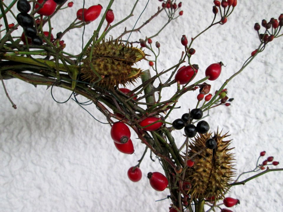 20141130Rosenkranz3