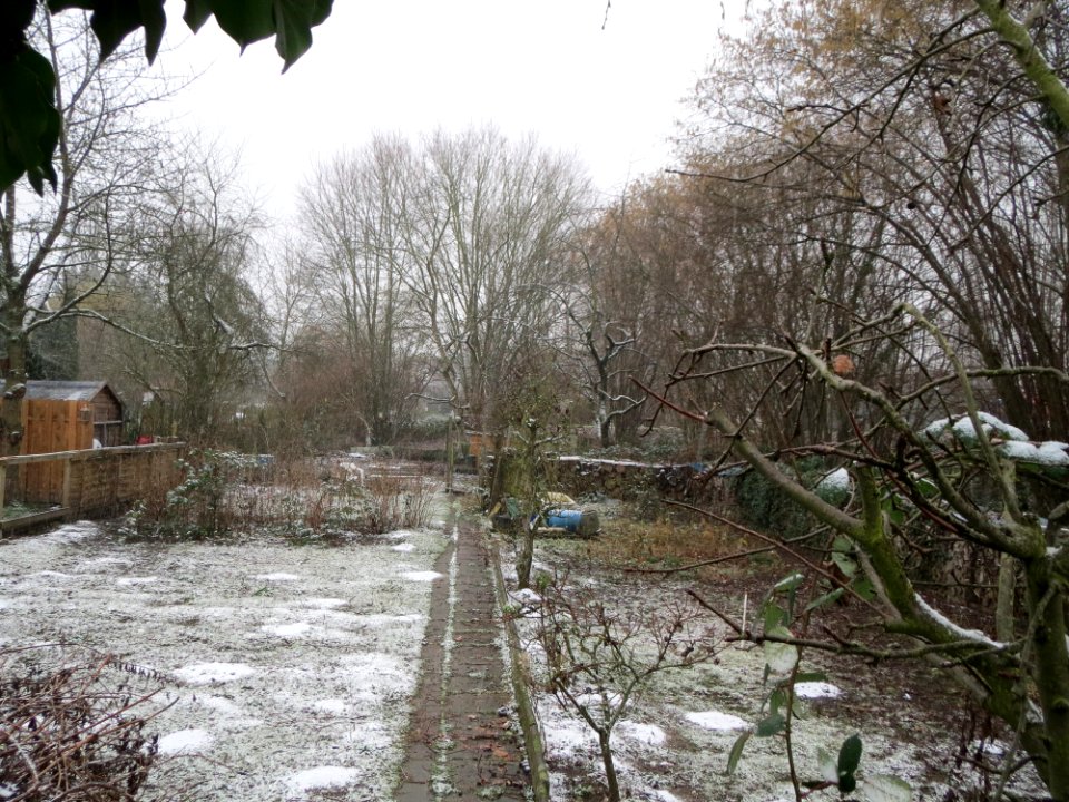 20150124Hockenheim2
