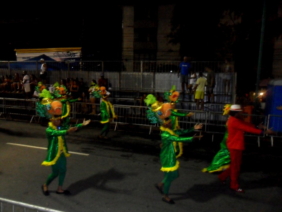 2015-02-15_-_Acadêmicos_de_Vigário_Geral_(3)