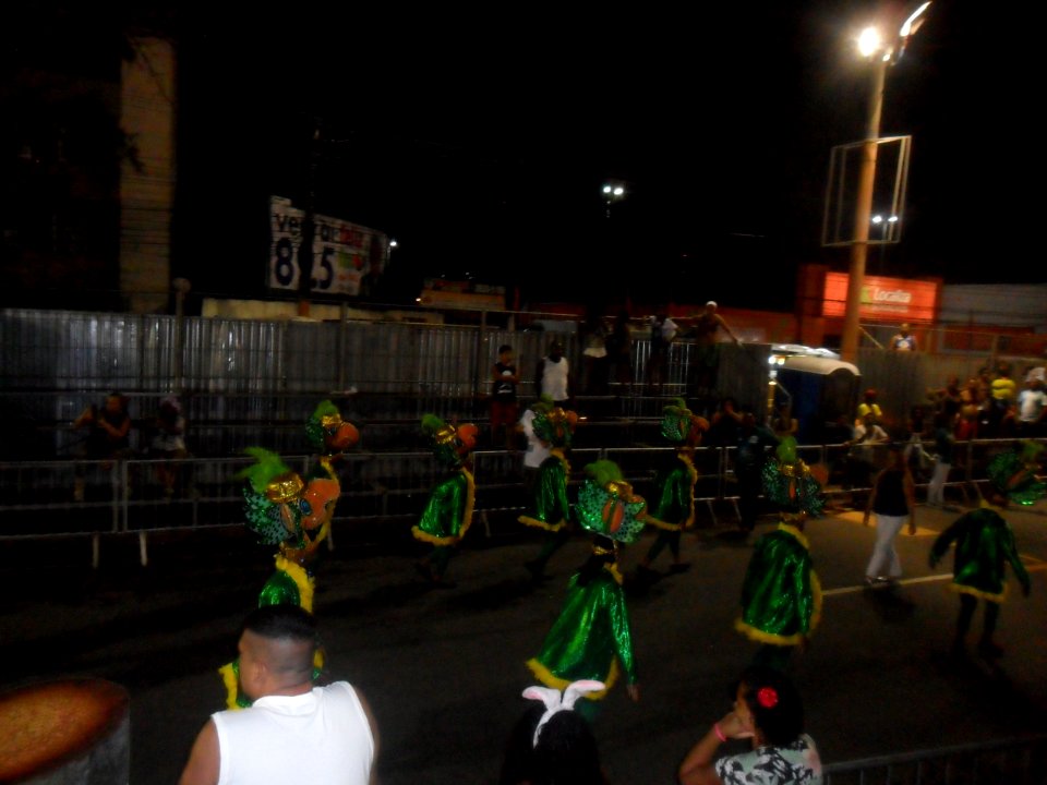 2015-02-15_-_Acadêmicos_de_Vigário_Geral_(4)