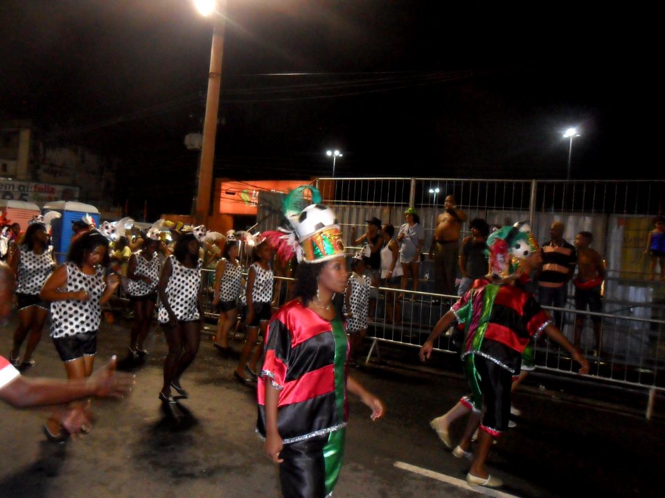 2015-02-15_-_Acadêmicos_de_Vigário_Geral_(36)