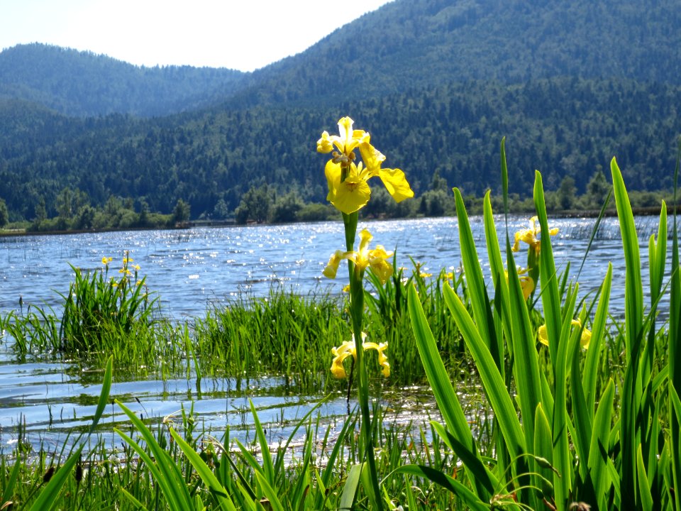 2015-5-Slivnica&Cerkniško_jezero_(67)