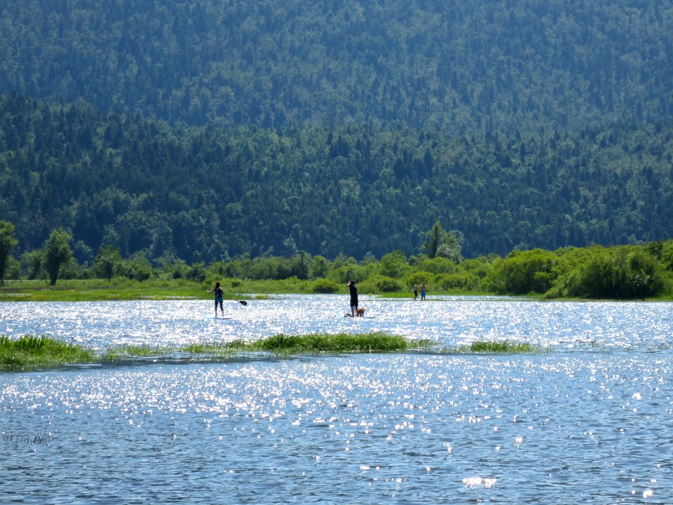 2015-5-Slivnica&Cerkniško_jezero_(82)
