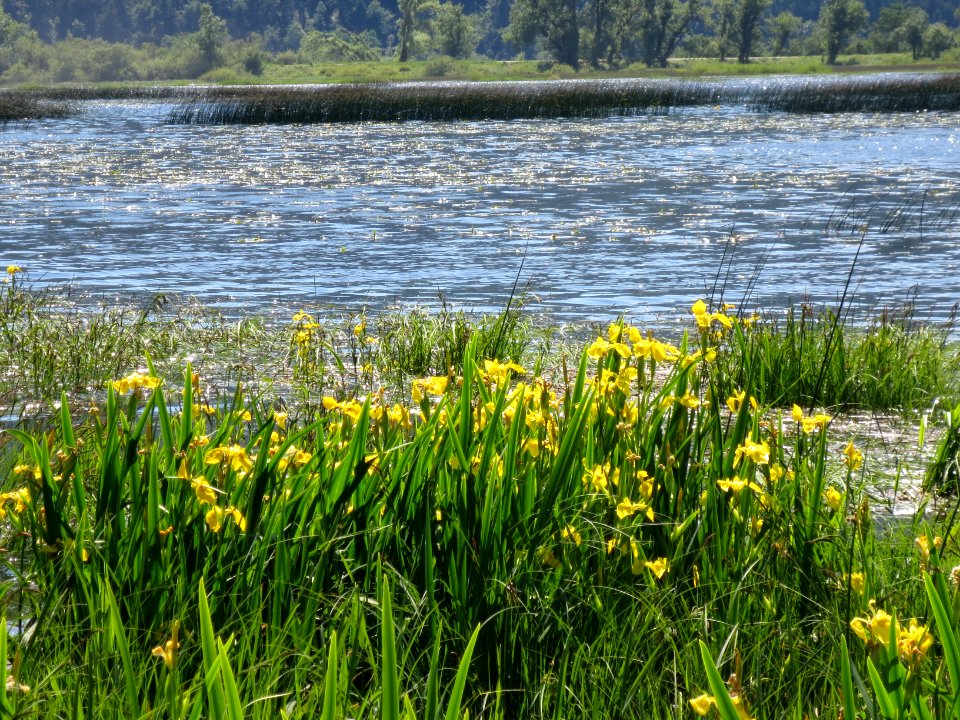 2015-5-Slivnica&Cerkniško_jezero_(57)
