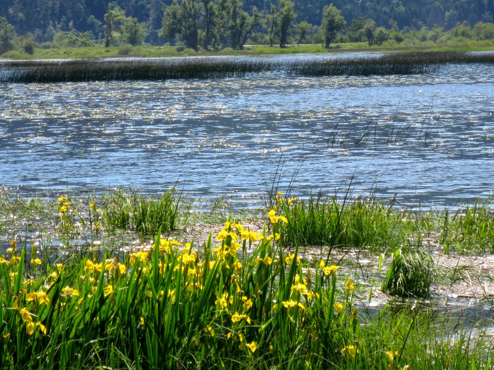 2015-5-Slivnica&Cerkniško_jezero_(56)