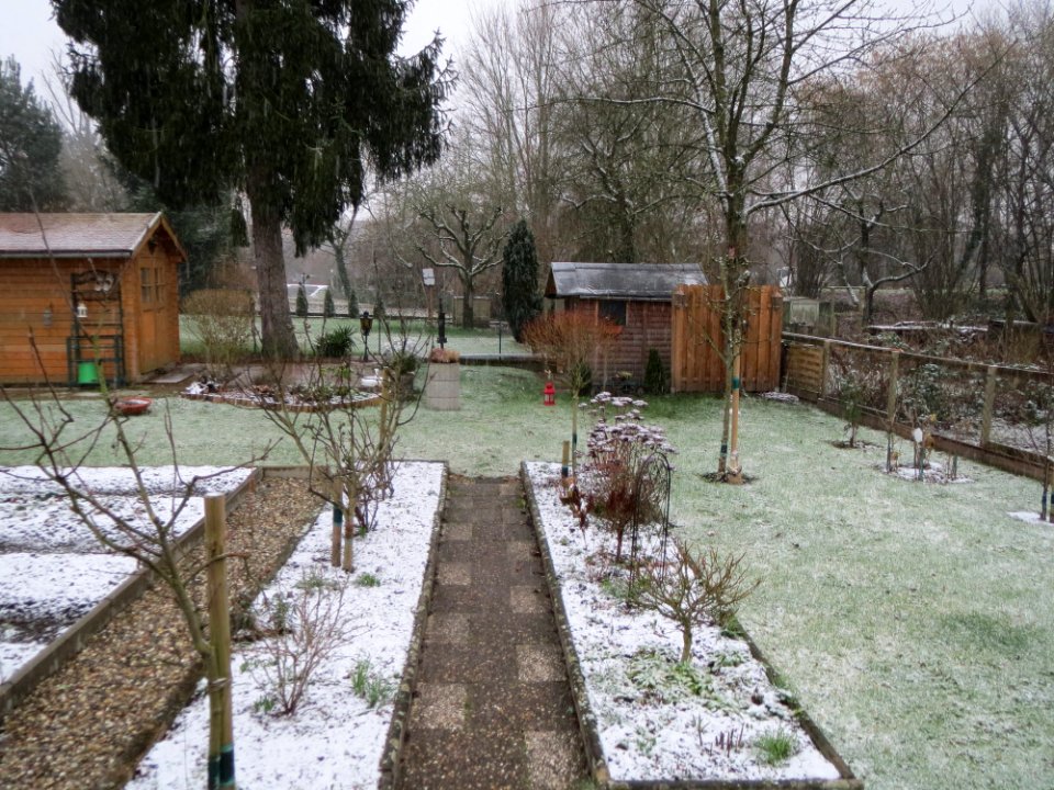 20150124Hockenheim3