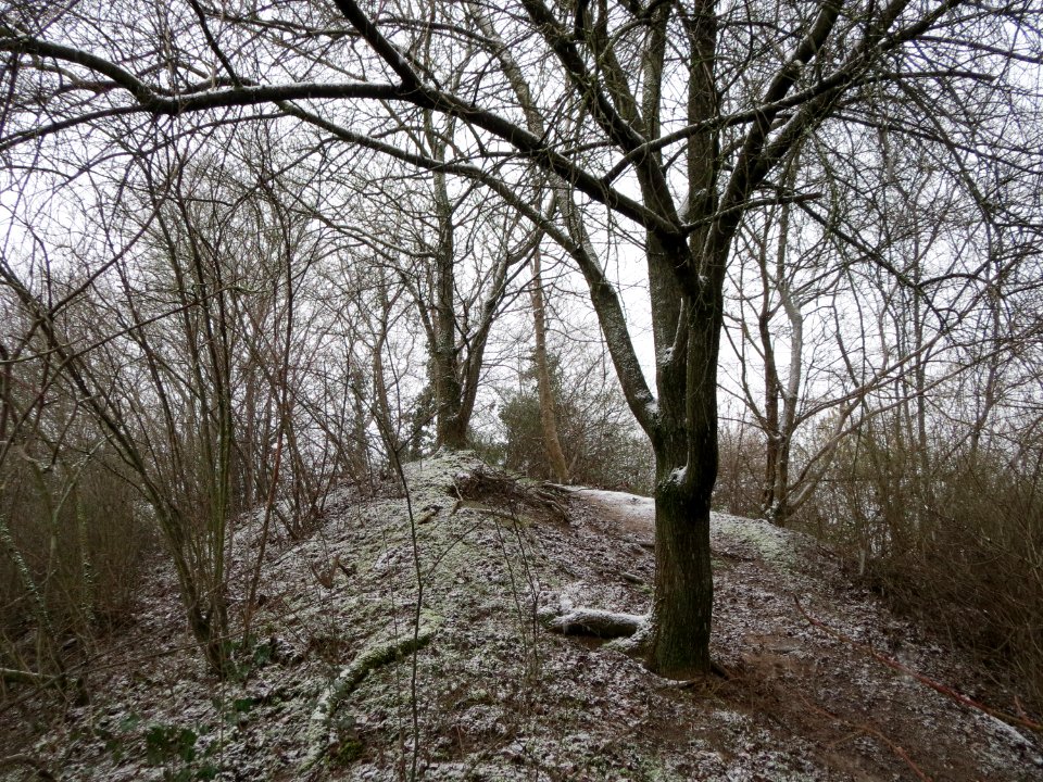 20150124Gartenschaupark_Hockenheim4