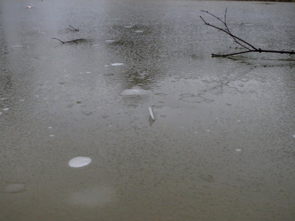 20150126Hockenheim