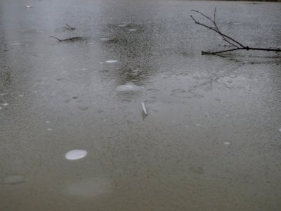 20150126Hockenheim
