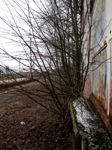20150122Bruchmuehlbach-Miesau1