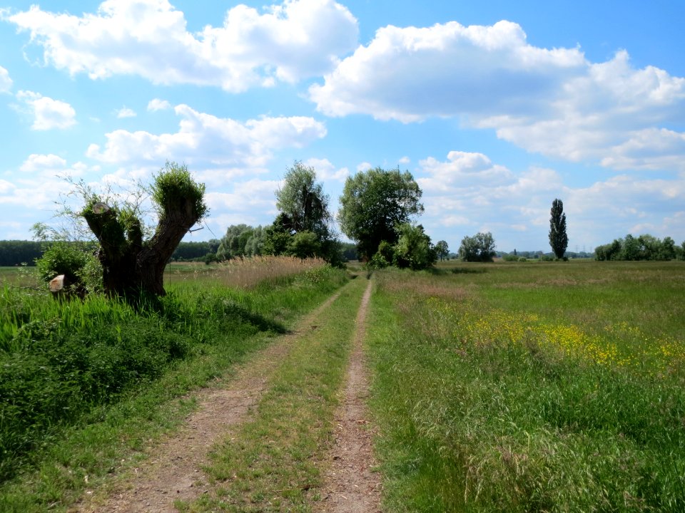 20150521Bach_Leopoldswiesen1