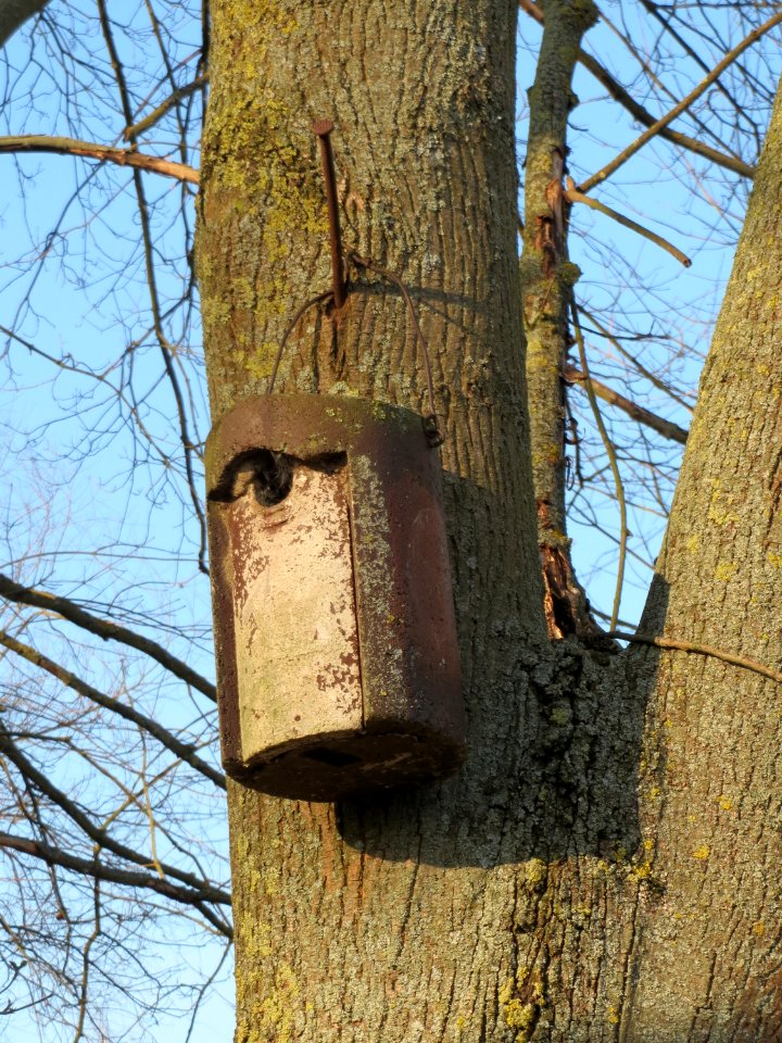 20150309Nistkasten2