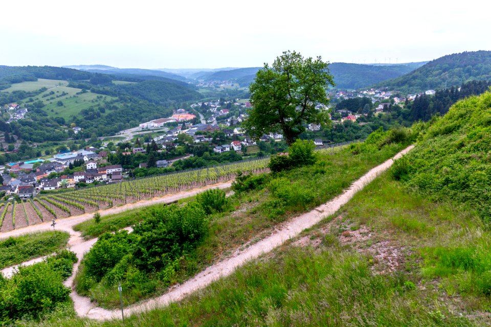 20150523_Wanderweg_Blick_über_Saarburg_IMG_4603_by_sebaso