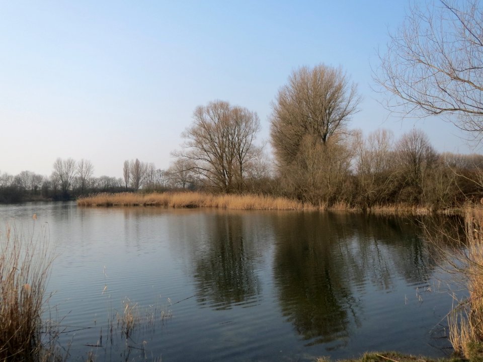 20150319Reilinger_see