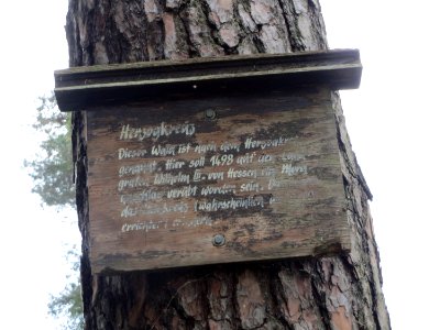 20150514Herzogkreuz
