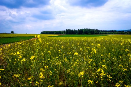 20150523_Naturpark_Saar-Hunsrück_Zerf_Heltern_Feld_Himmel_Wald_IMG_4526_by_sebaso