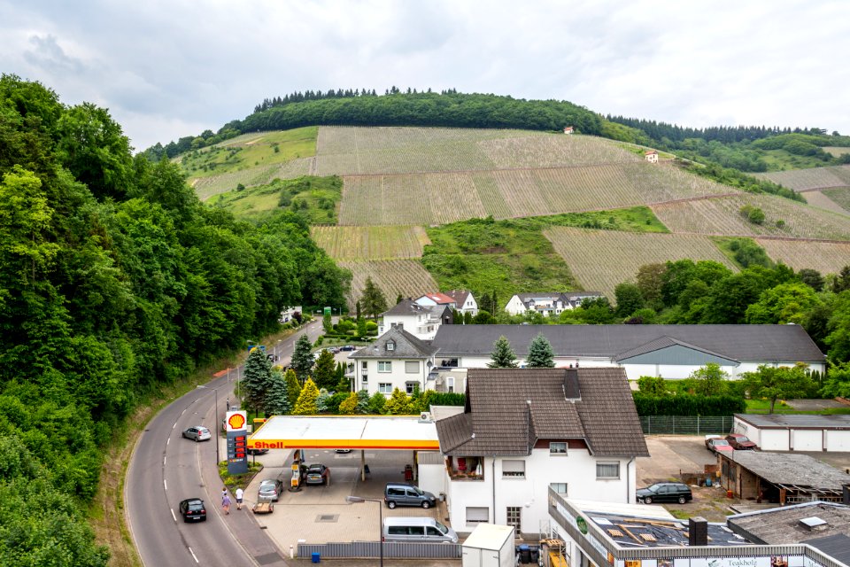 20150523_Weinberge_Saarburg_IMG_4571_by_sebaso