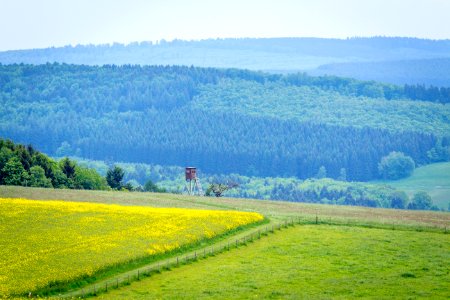 20150523_Naturpark_Saar-Hunsrück_Zerf_Heltern_Feld_Hochsitz_Wald_IMG_4532_by_sebaso
