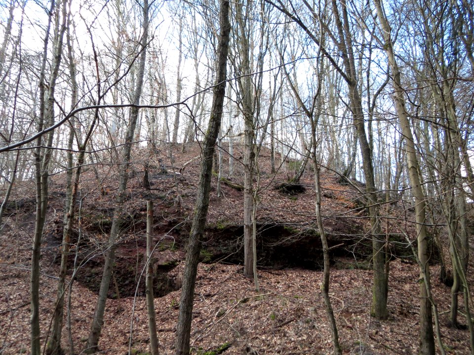 20150305Kirschheck_Saarbruecken1