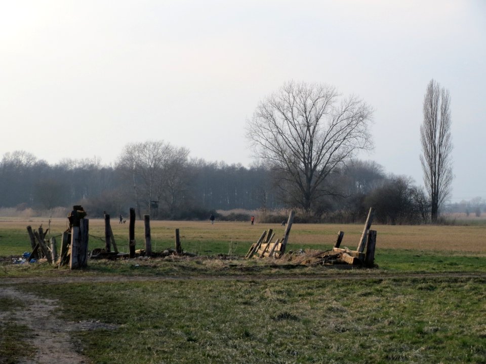 20150315Bachwiesen