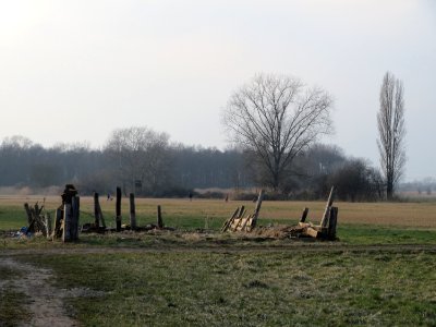 20150315Bachwiesen