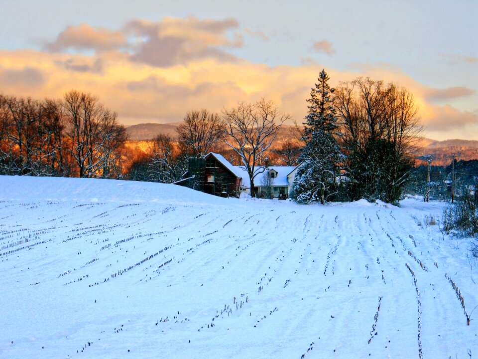 Landscape nature scenic
