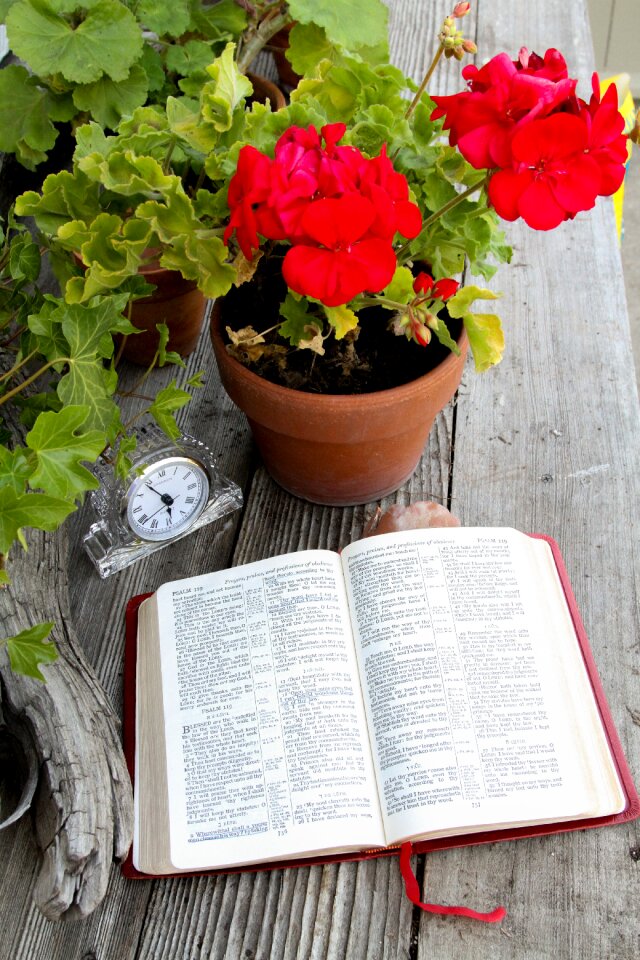 Religion christian learning