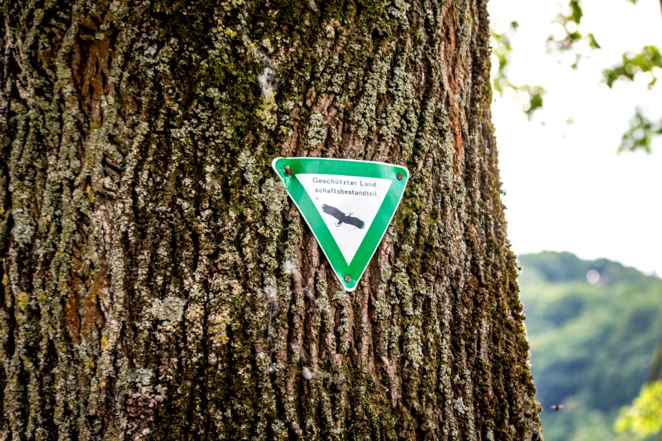 20150522_Schutzschild_zum_Baumbestand_am_Moselradweg_Trier_-_IMG_4466_by_sebaso