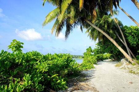 Away maldives water