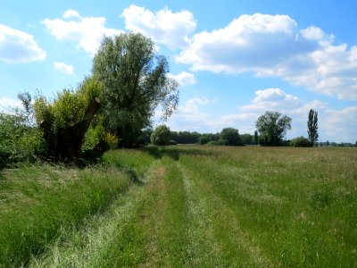 20150521Bach_Leopoldswiesen2