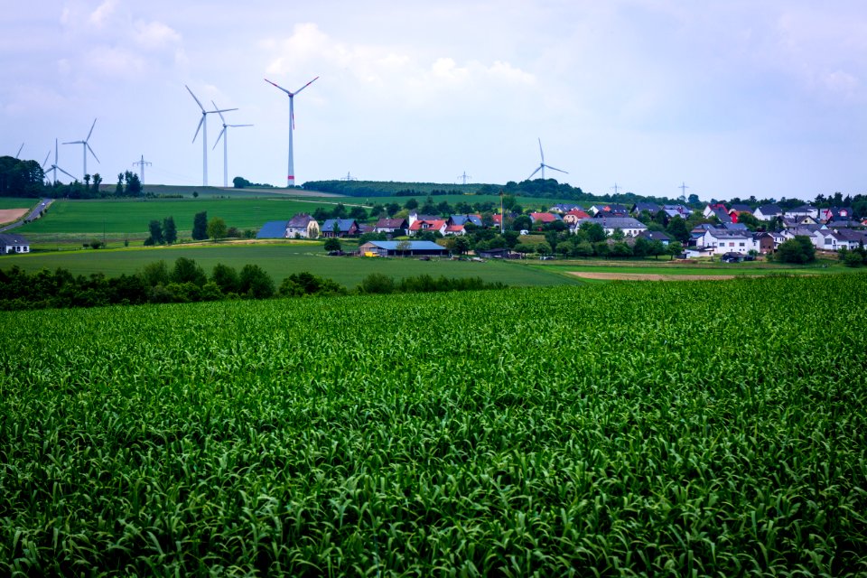 20150523_Naturpark_Saar-Hunsrück_Zerf_Heltern_Feld_Dorf_Windräder_IMG_4515_by_sebaso