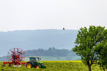 20150523_Naturpark_Saar-Hunsrück_Irsch_Traktor_Baum_Greifvogel_IMG_4554_by_sebaso