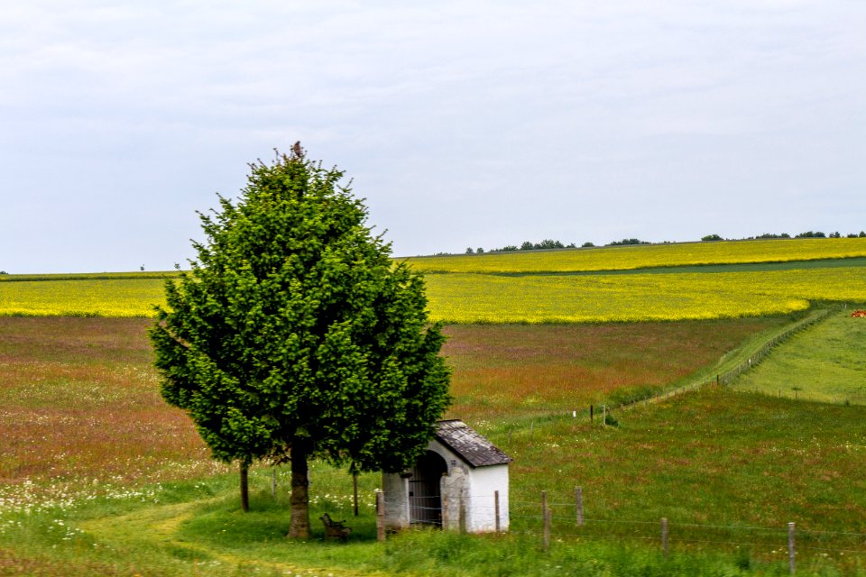 20150523_Naturpark_Saar-Hunsrück_Zerf_Heltern_Kapelle_mit_Baum_IMG_4540_by_sebaso