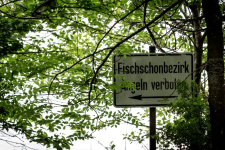20150524_Angeln_verboten_im_NSG_Bostalsee_IMG_4687_by_sebaso