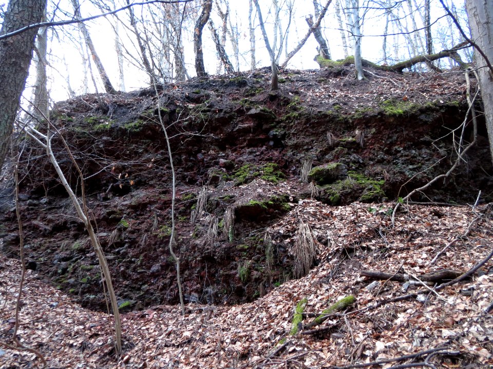 20150305Kirschheck_Saarbruecken2