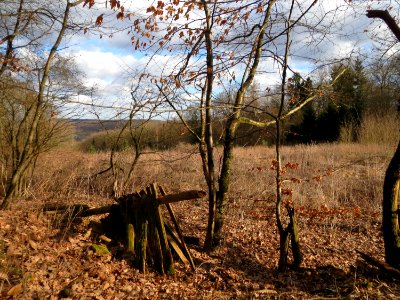 20150305Bergehalde_Steinbachtal1
