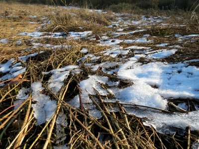 20150207St_Arnualer_Wiesen2