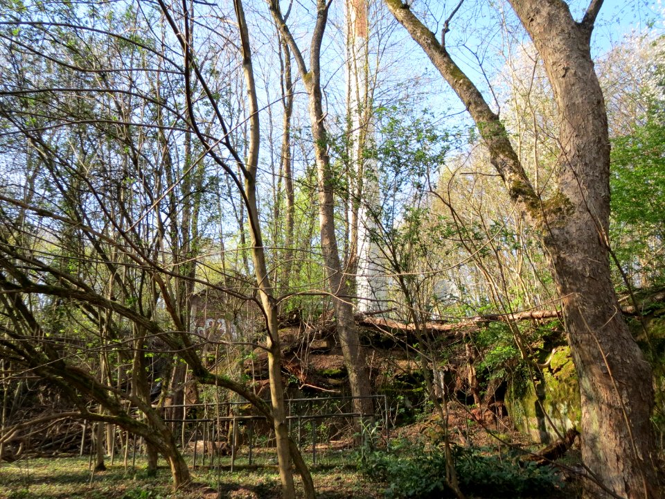 20150414Winterberg2