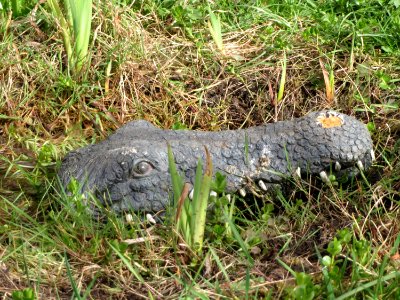 20150413Krokodil