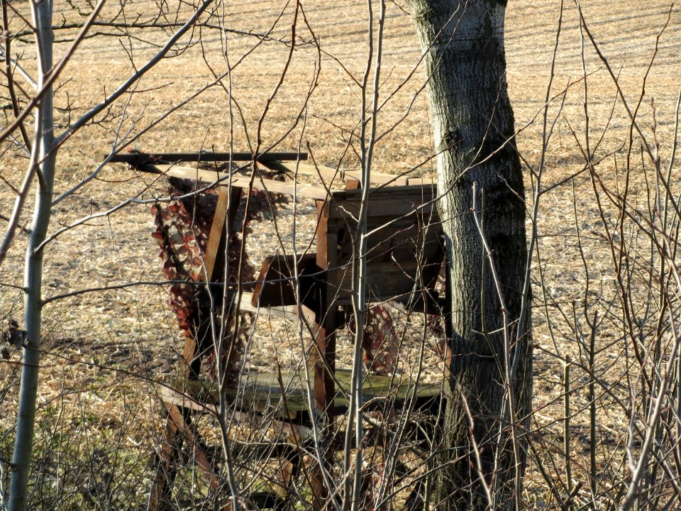 20150220Hockenheimer_Rheinbogen3