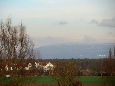 20150203Hockenheim03