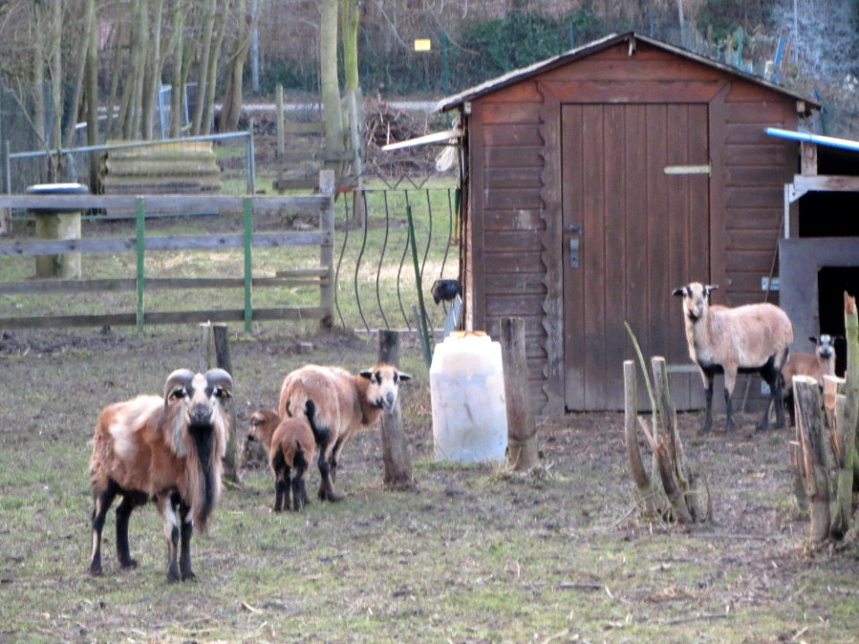 20150203Hockenheim04