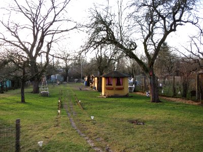 20150203Hockenheim05