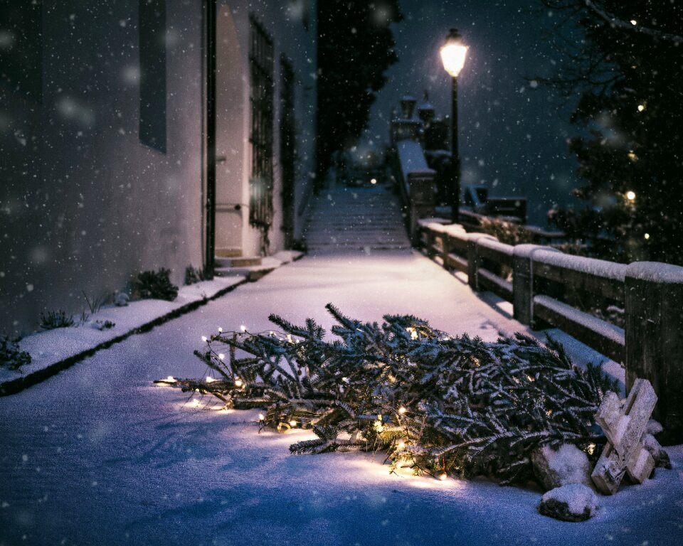 Cold winter fell down