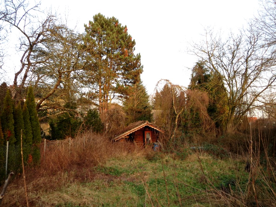 20150203Hockenheim10