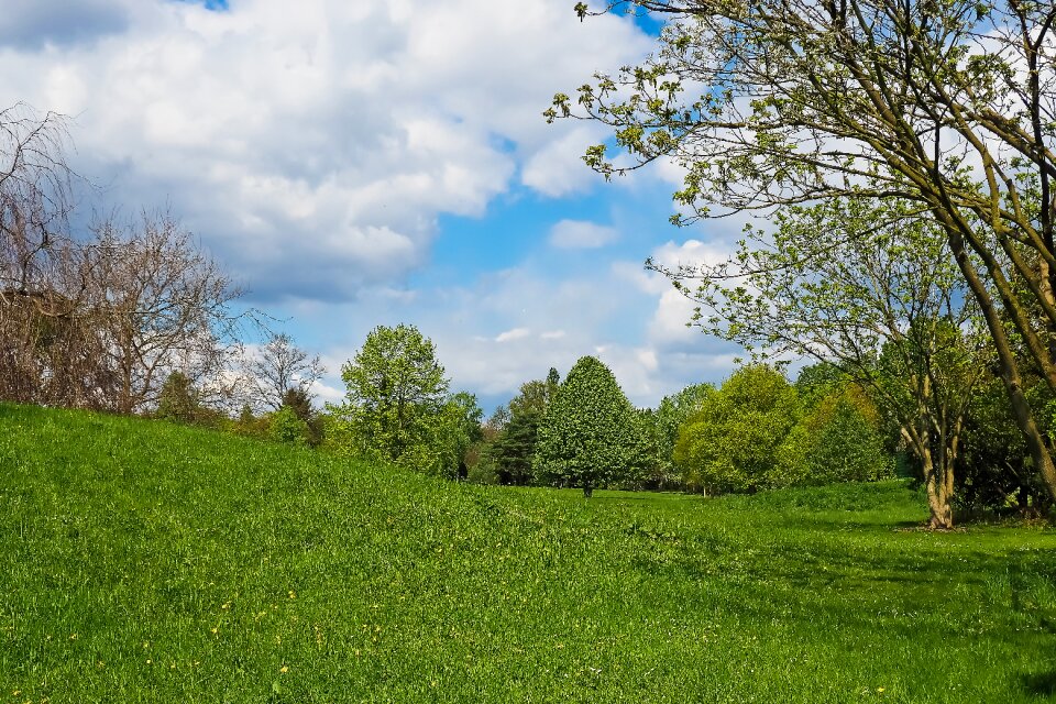 Agriculture spring meadow
