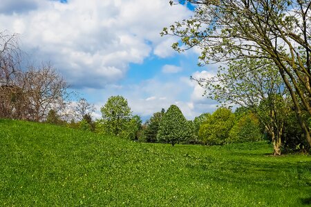 Agriculture spring meadow