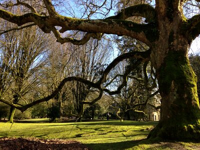 Park nature landscape