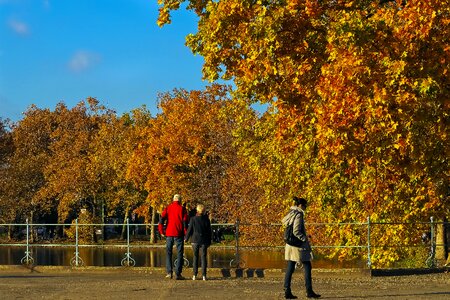 Fall foliage leaves in the autumn nature